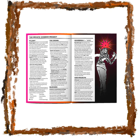 An open book or booklet titled 'THE PRIVATE KINGDOM PROJECT' shown against a white background with a distressed brown border. The left page has a bright pink-to-purple gradient header and black text, while the right page features a dark illustration of a skeletal figure with a glowing red starburst above it.