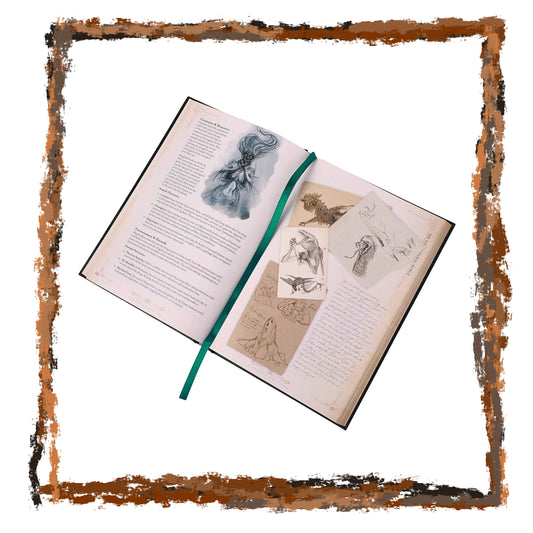 Open book with illustrations and text, framed by a decorative border