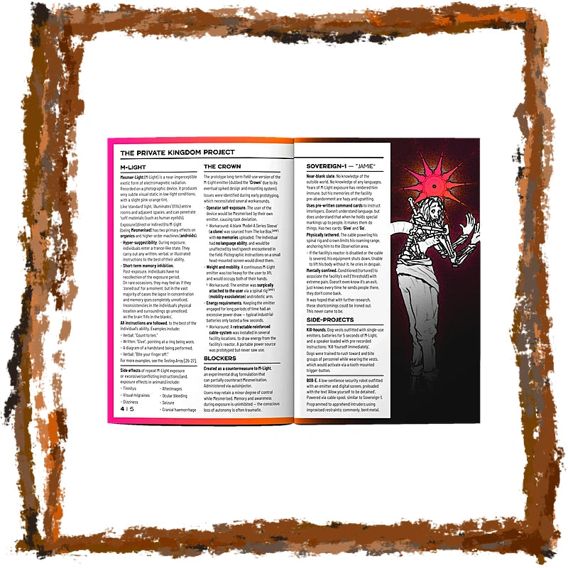 An open book or booklet titled 'THE PRIVATE KINGDOM PROJECT' shown against a white background with a distressed brown border. The left page has a bright pink-to-purple gradient header and black text, while the right page features a dark illustration of a skeletal figure with a glowing red starburst above it.