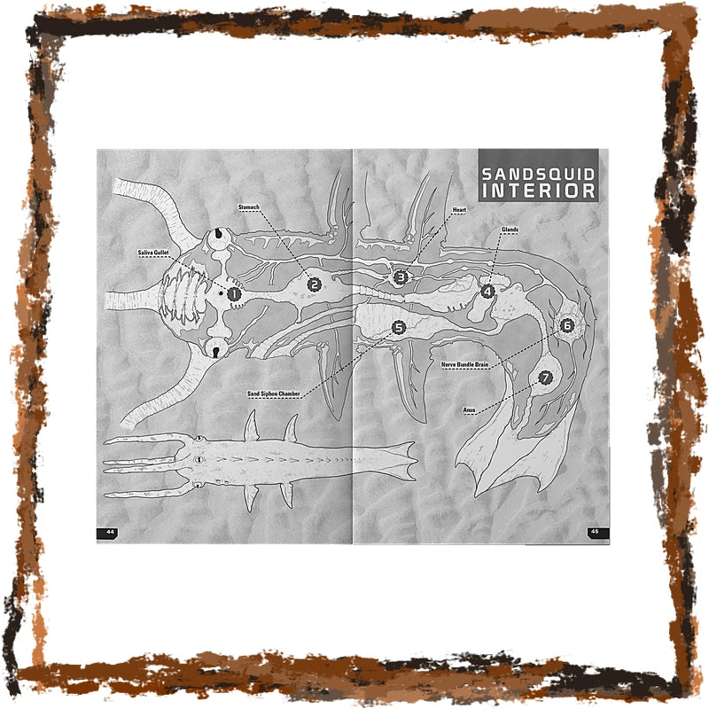 An anatomical diagram of a sandworm or squid interior labeled 'SANDSQUID INTERIOR' in black text on a gray background, surrounded by a distressed brown border.